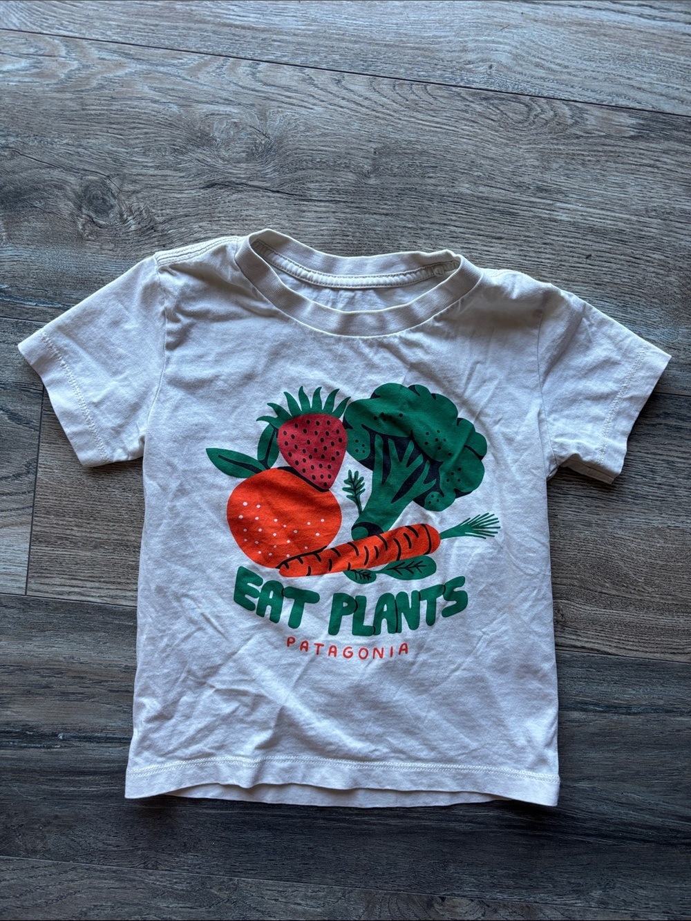 Patagonia White Kids Tee with Colorful Plant Graphic